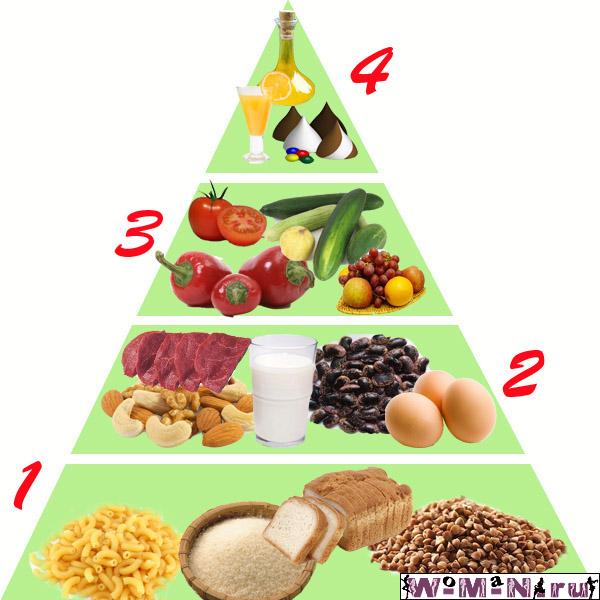 пищевая пирамида