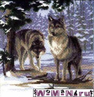 wolf.jpg